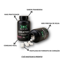 Combo Nexxu Performance - Creatina em pastilhas + Whey Protein + Pré Treino